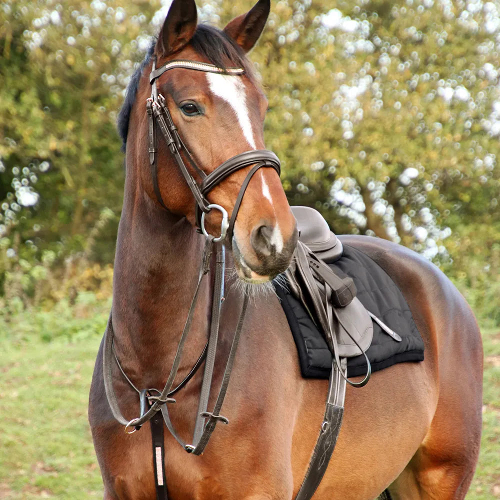 Hy Equestrian Rosciano Rose Gold Bridle