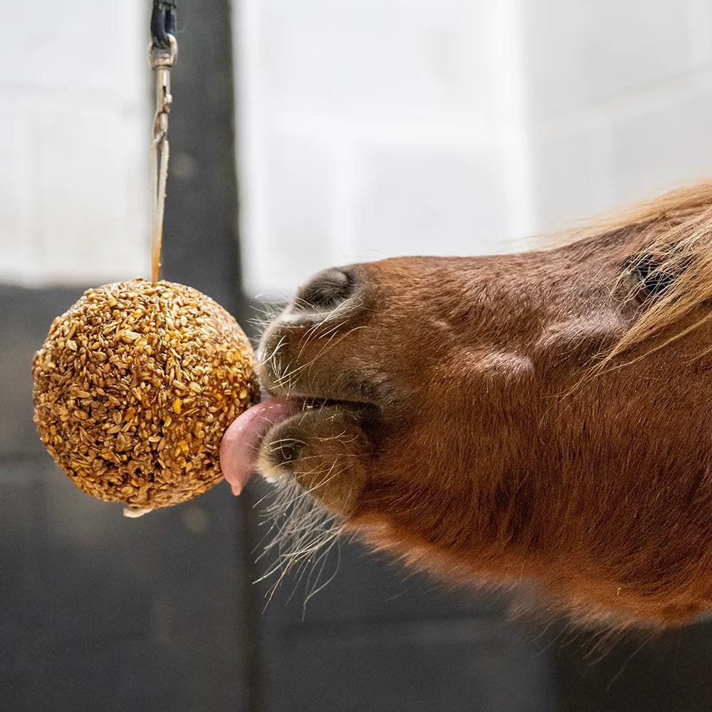 Likit Granola Stall Ball - Gingerbread