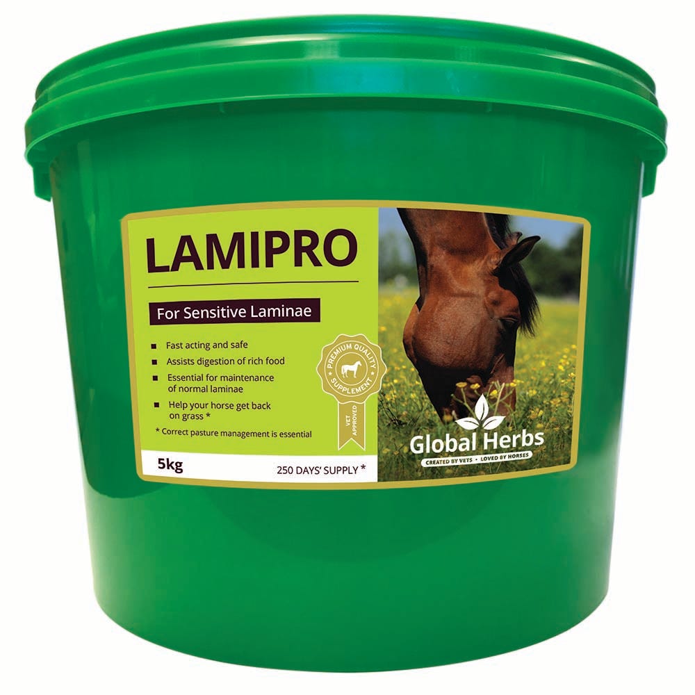 Global Herbs LamiPro Powder - 5kg