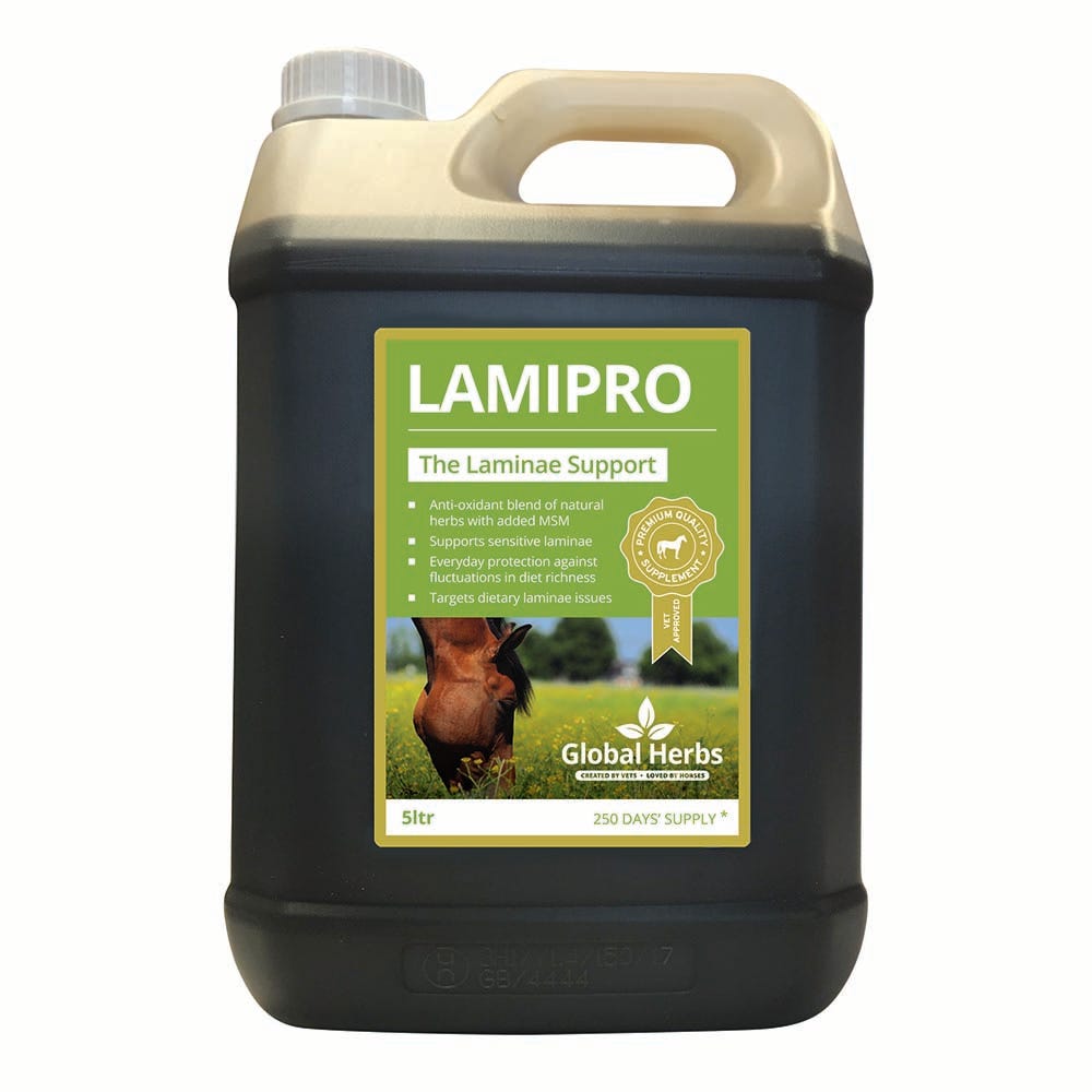 Global Herbs LamiPro Liquid - 5ltr