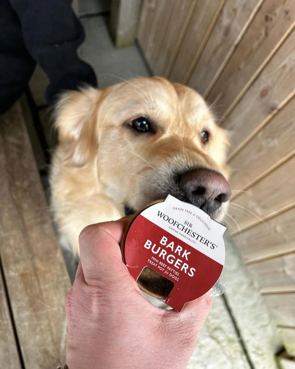 Sir Woofchesters Bark Burgers Treat Pot