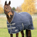 stormx-empra-100-stable-rug