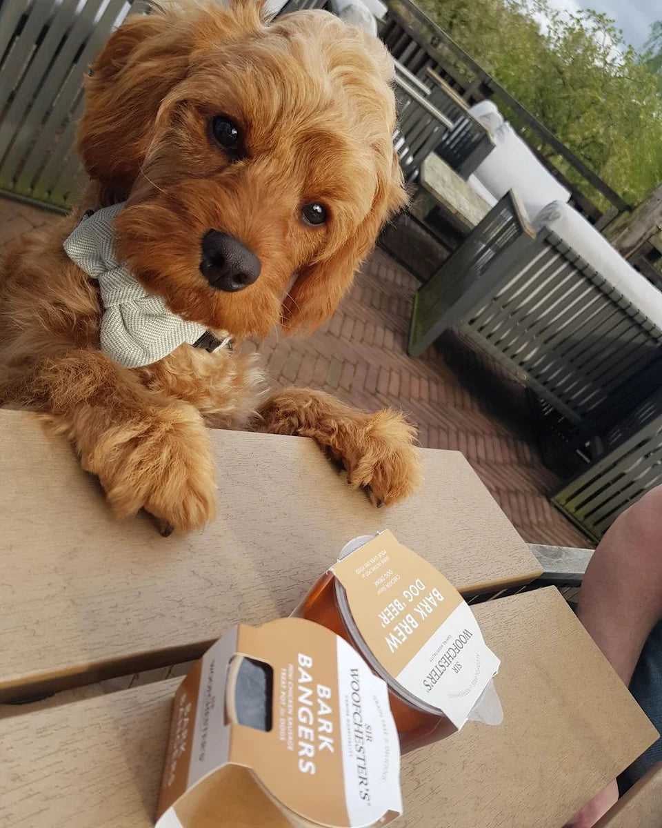 Sir Woofchesters Bark Bangers Treat Pot