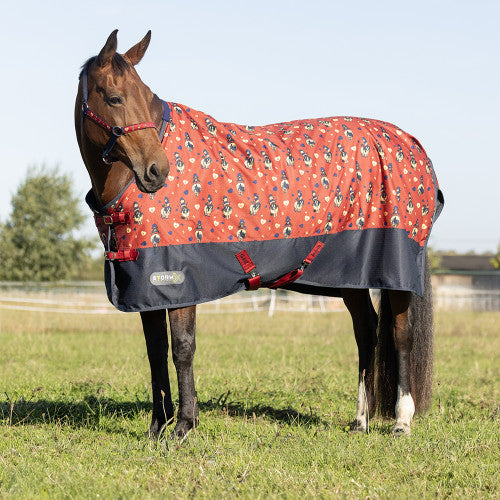 StormX Original 100g Turnout Rug – Thelwell Collection Balancing Act