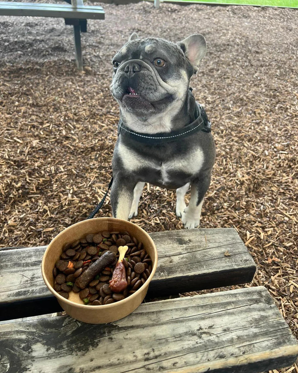 Sir Woofchesters Roast Dinner Dog Bowl
