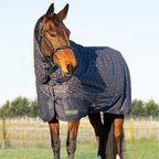 stormx-original-country-200-combi-turnout-rug