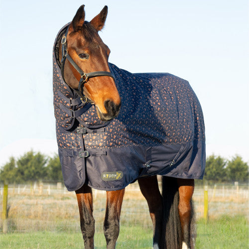 stormx-original-country-200-combi-turnout-rug