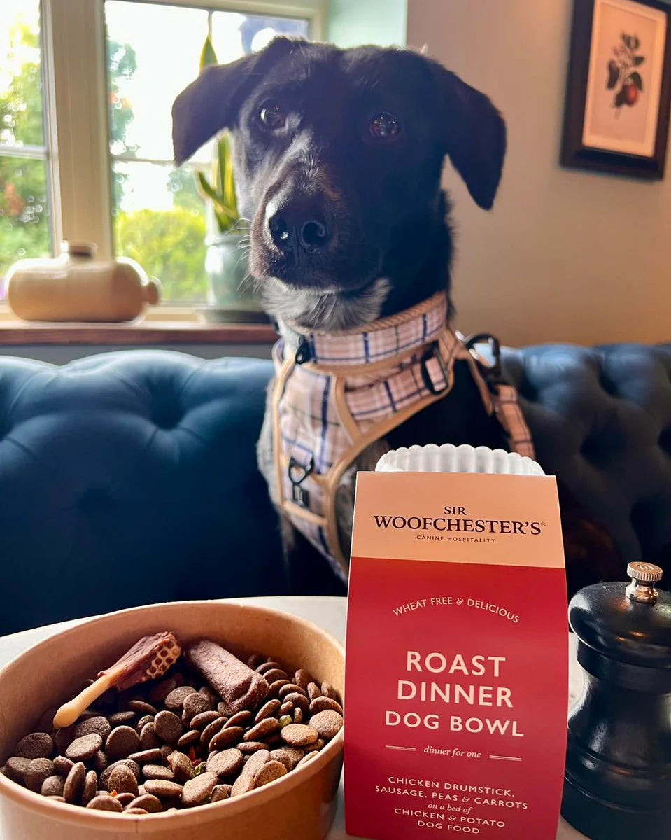 Sir Woofchesters Roast Dinner Dog Bowl
