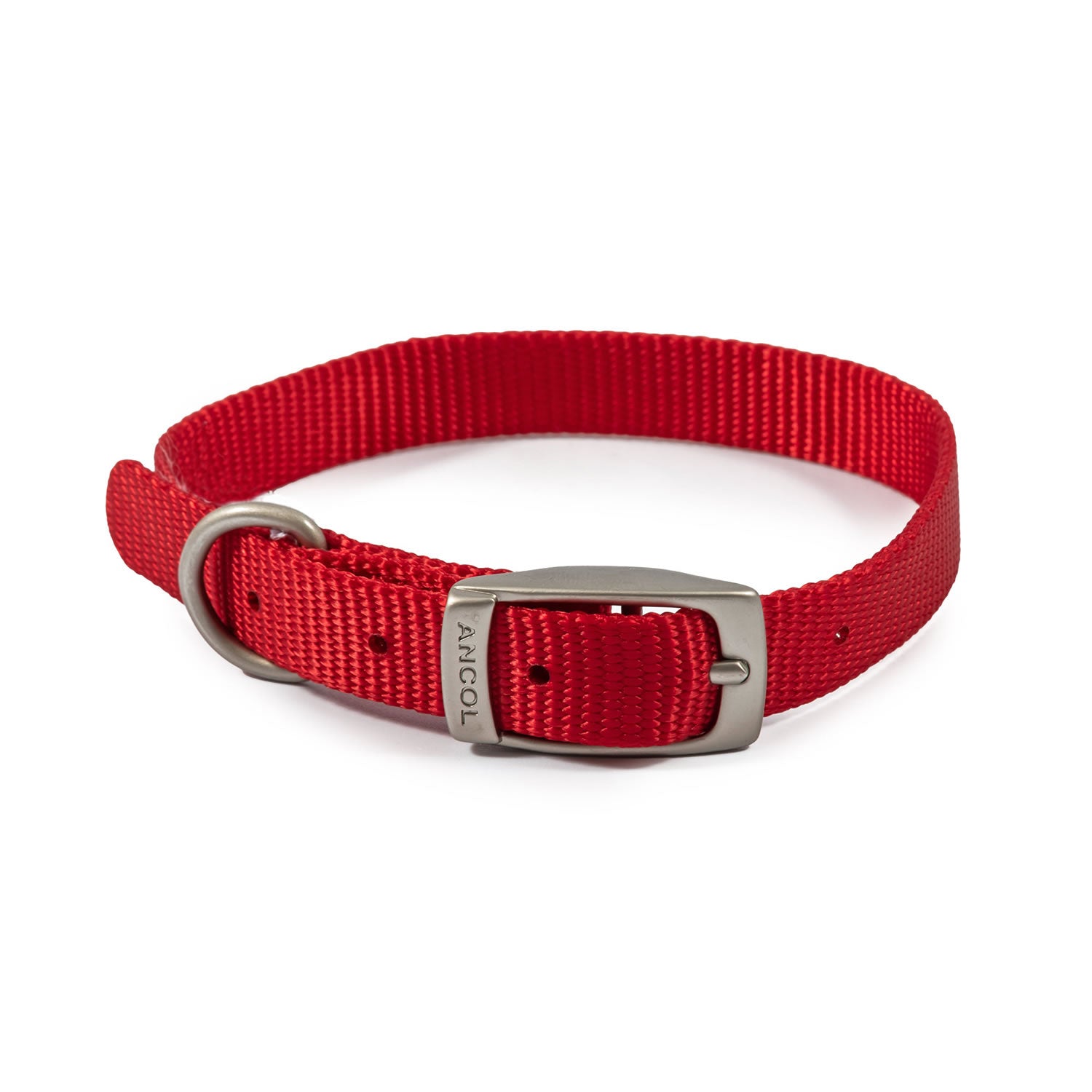 ancol-viva-buckle-collar