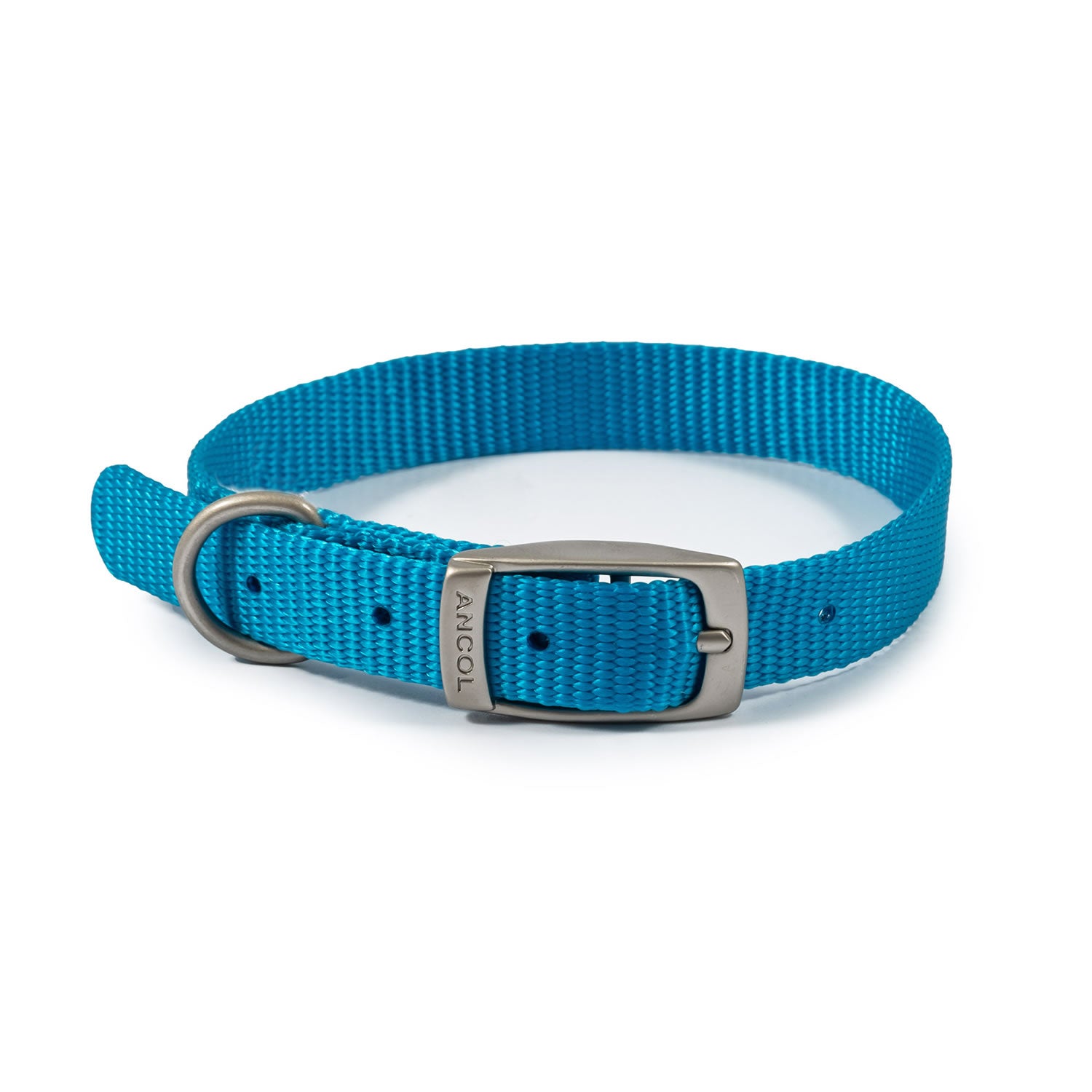 ancol-viva-buckle-collar