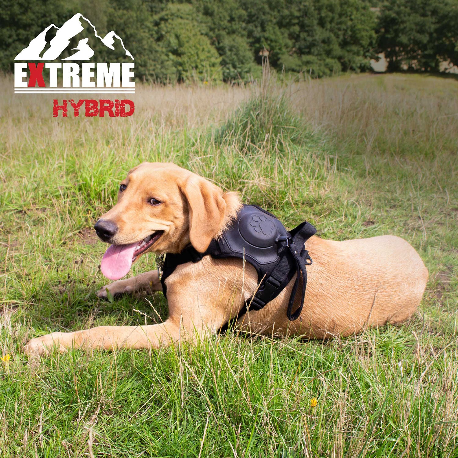 Ancol Extreme Hybrid Harness