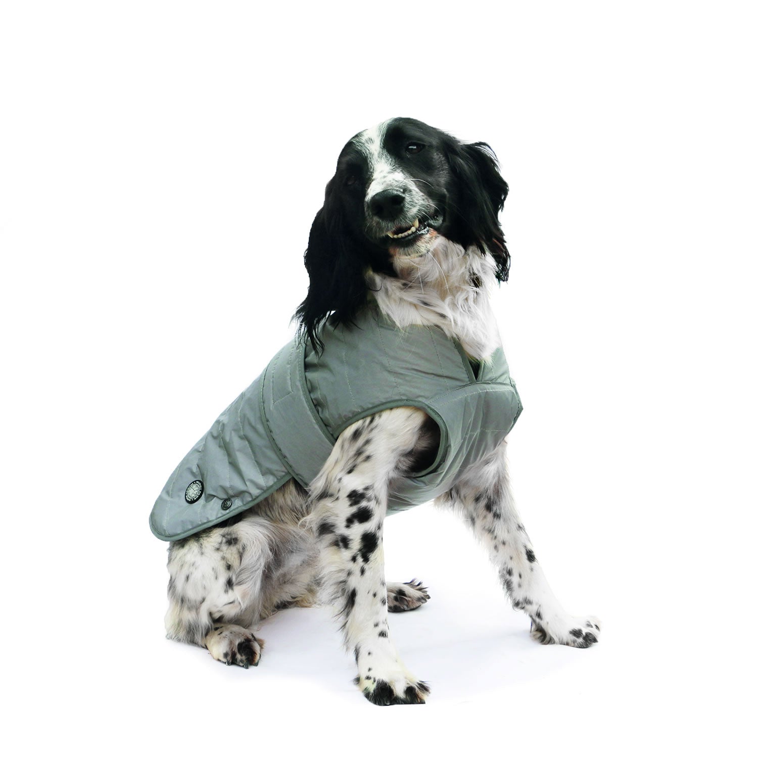 Ancol Stormguard Ultimate Dog Coat