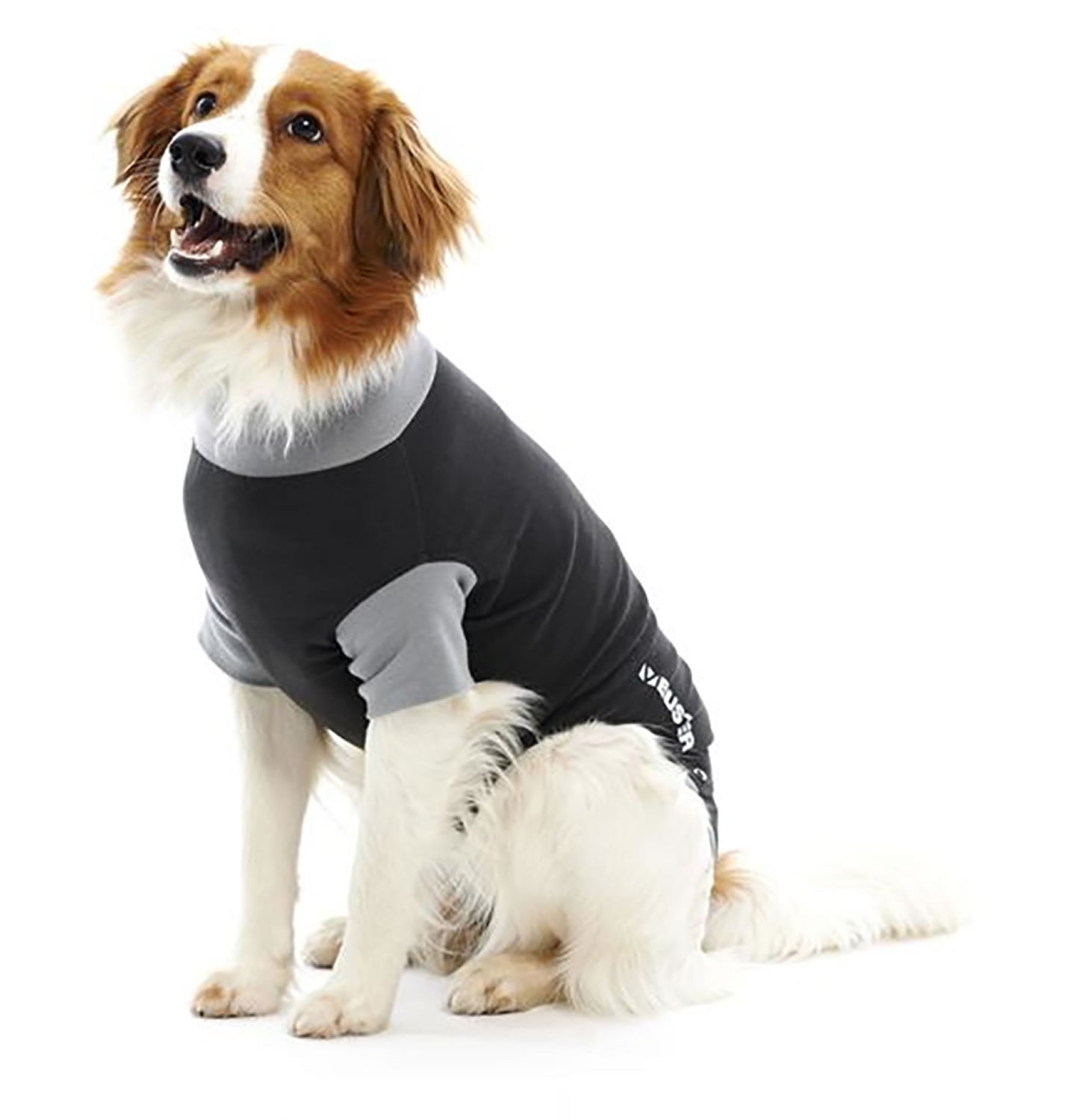 Buster Body Suit For Dogs