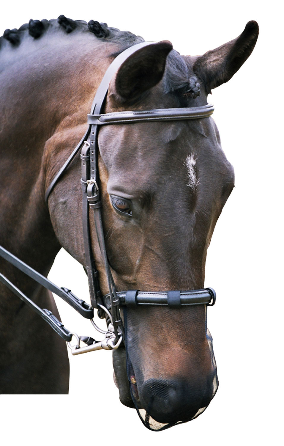 equilibrium-net-relief-cavesson-muzzle-net
