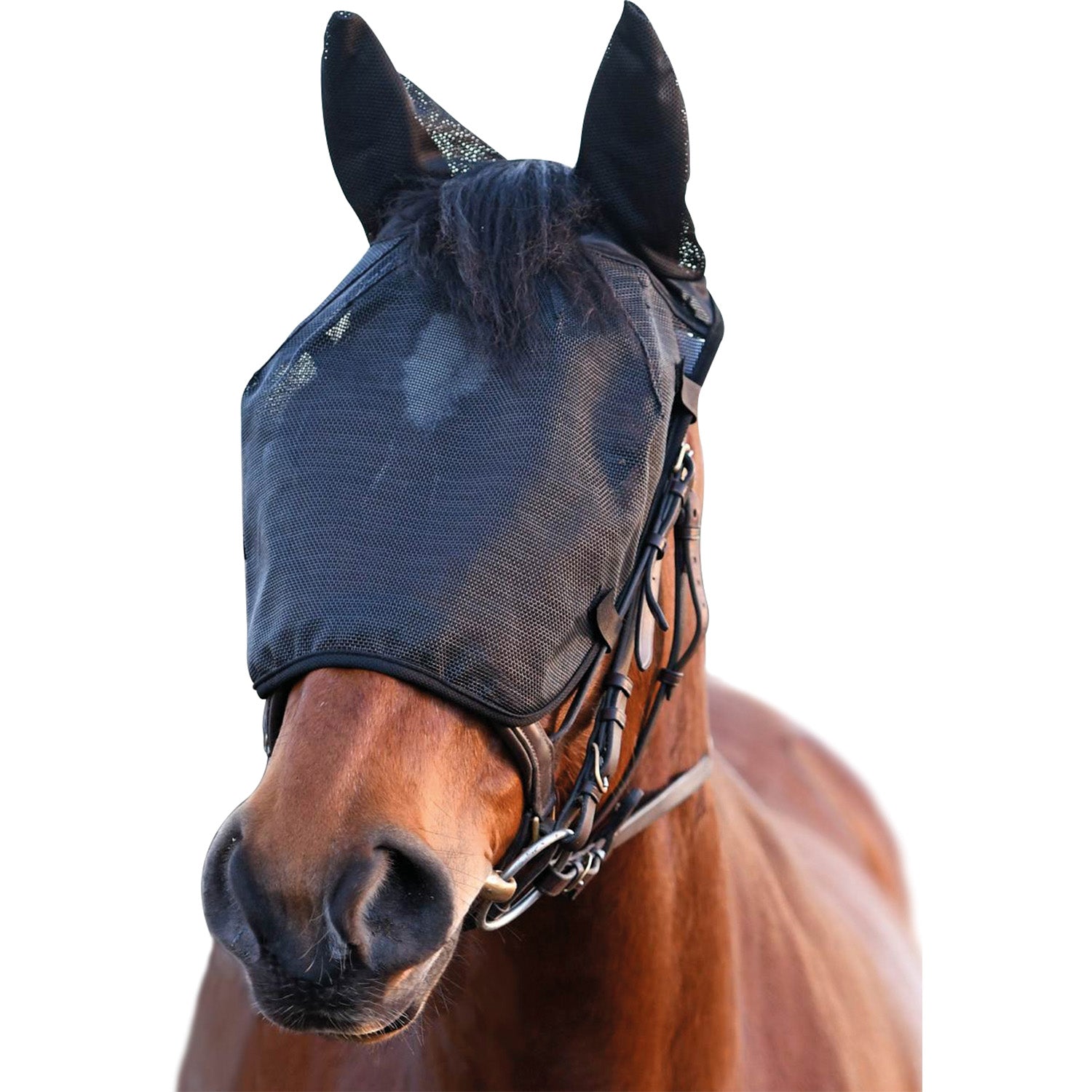equilibrium-net-relief-riding-mask