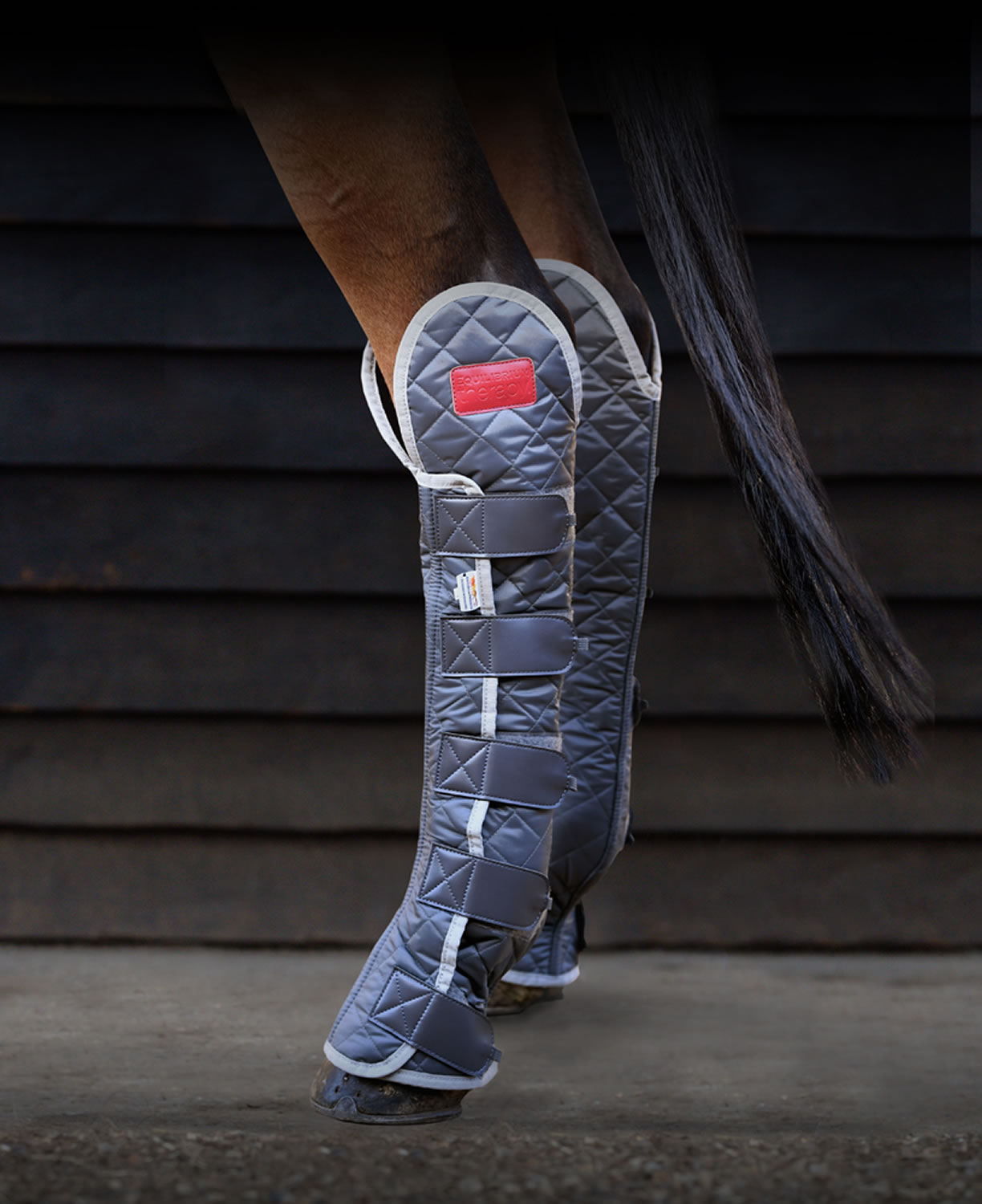 equilibrium-magnetic-hind-hock-chaps