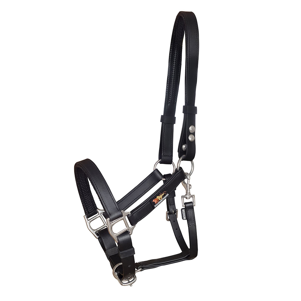 Equilibrium Stellar Headcollar
