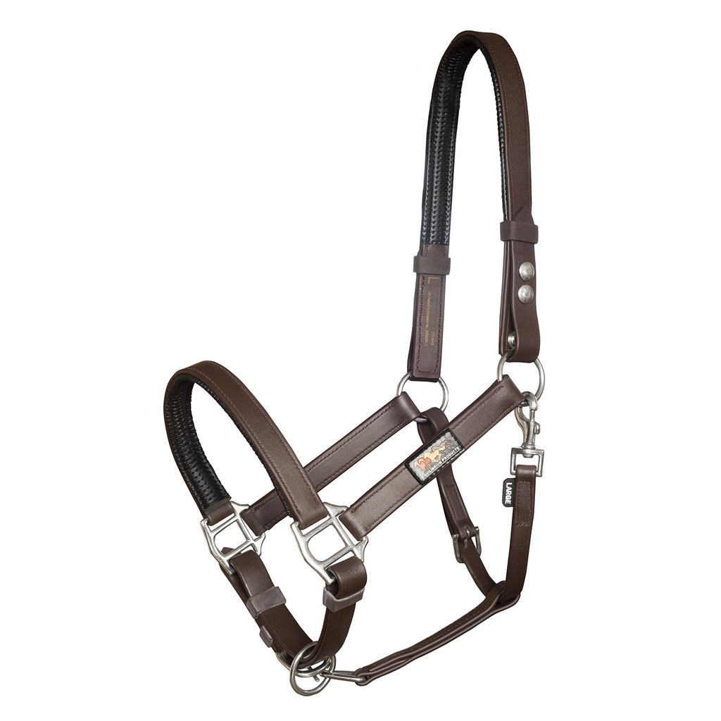 equilibrium-stellar-headcollar