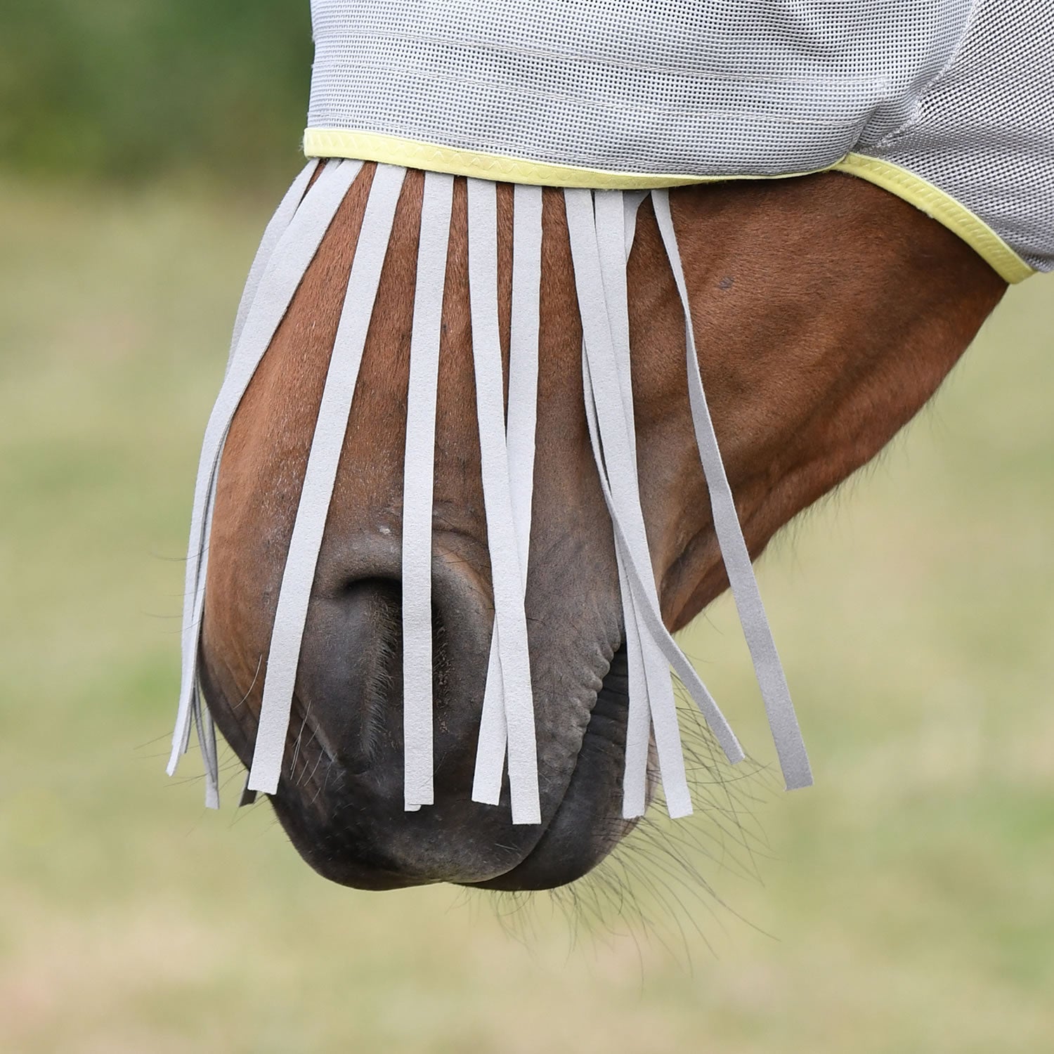 equilibrium-field-relief-muzzle-fringe