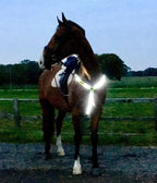 Equisafety Led Rechargeable Breastplate