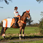 Equisafety Mercury Exercise Rug