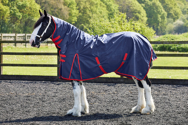 Fiefoot Turnout Rug Fixed Neck 100Gm