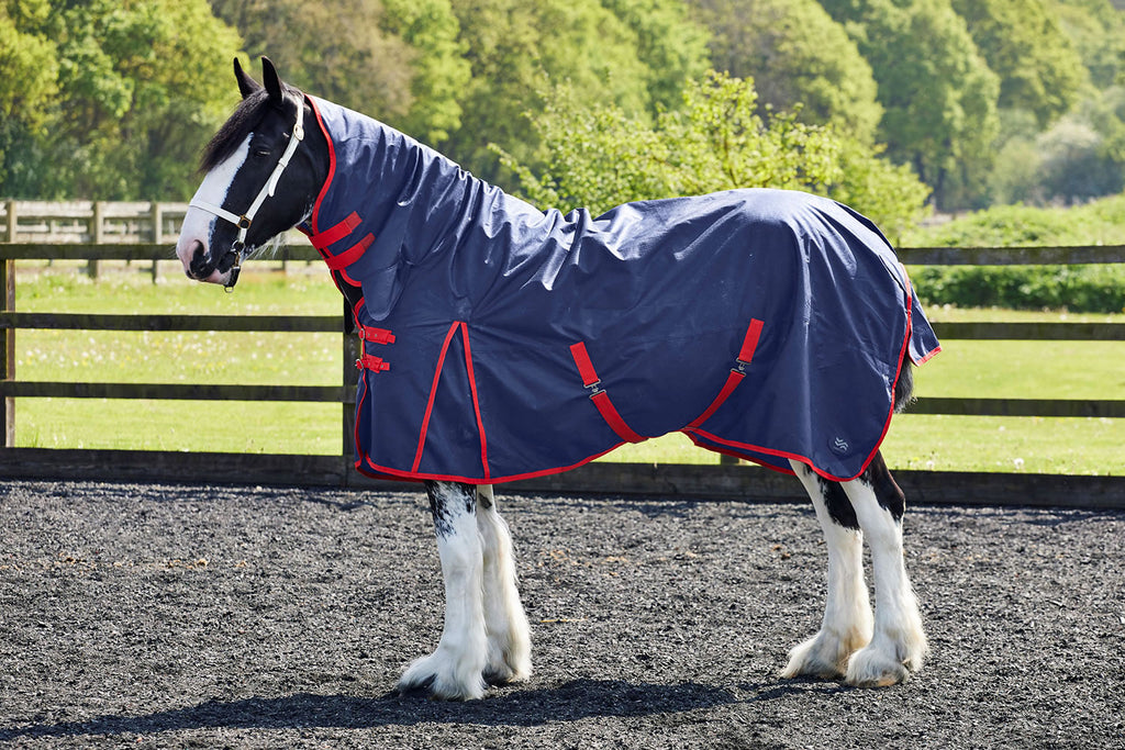 Fiefoot Turnout Rug Fixed Neck 100Gm Navy/Red
