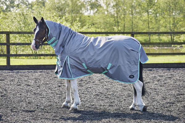 Fiefoot Turnout Rug Fixed Neck 200Gm