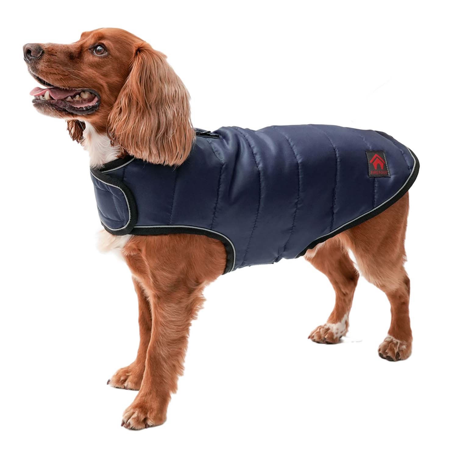 Fiefoot Quilted Dog Coat