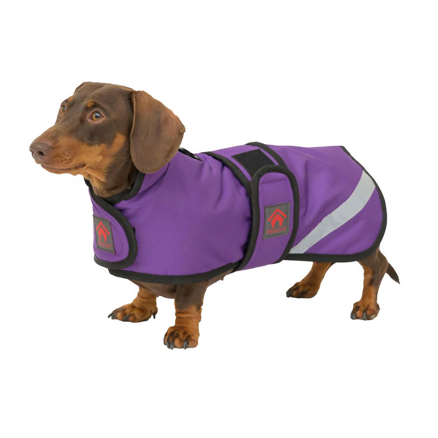 Fiefoot Outdoor Dachshund Coat With Fleecy Lining