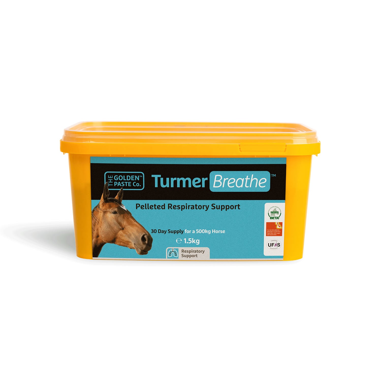 Golden Paste Company Tumerbreathe