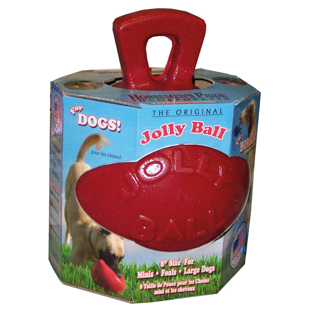jolly-pets-dual-jolly-ball