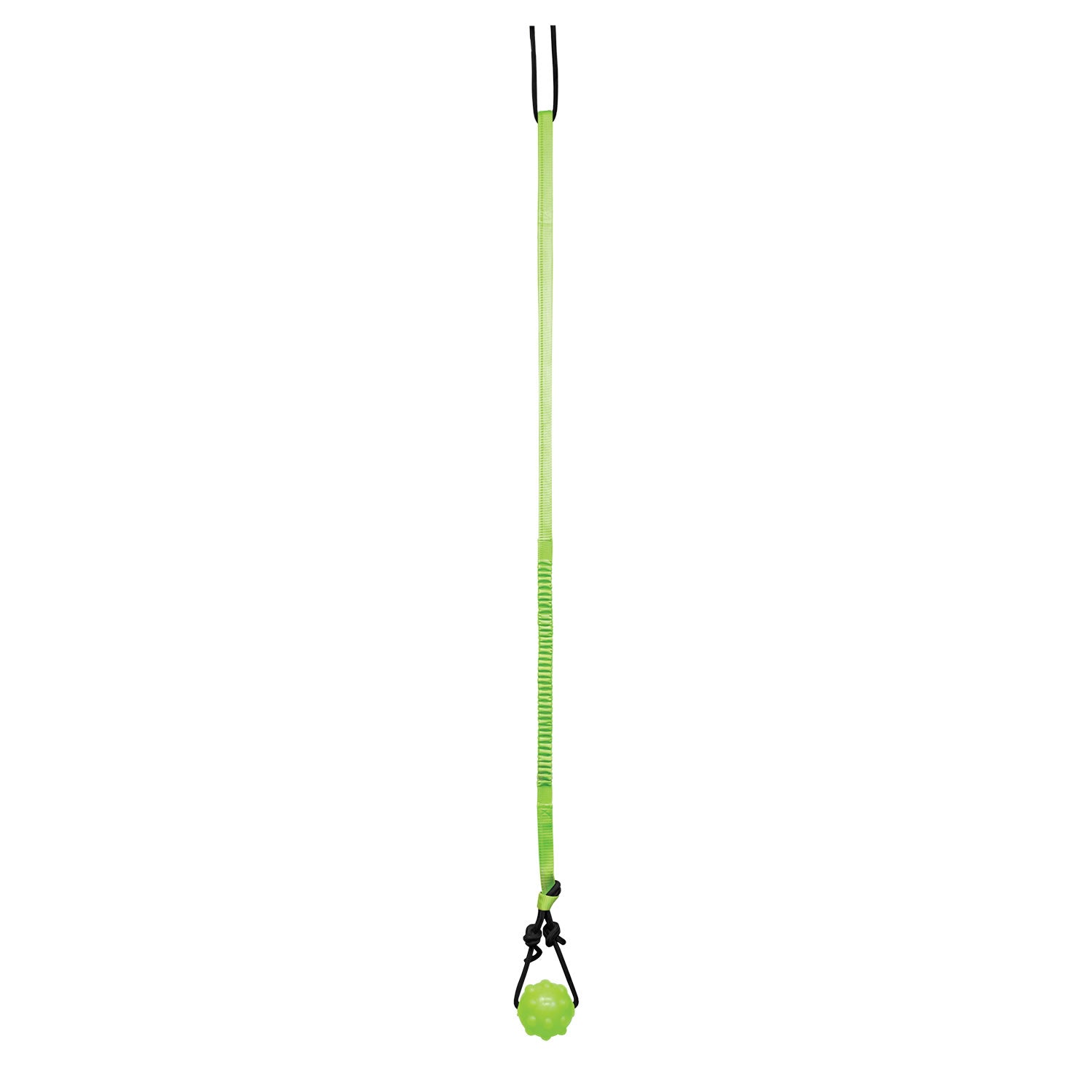 Jolly Pets Tree Tugger