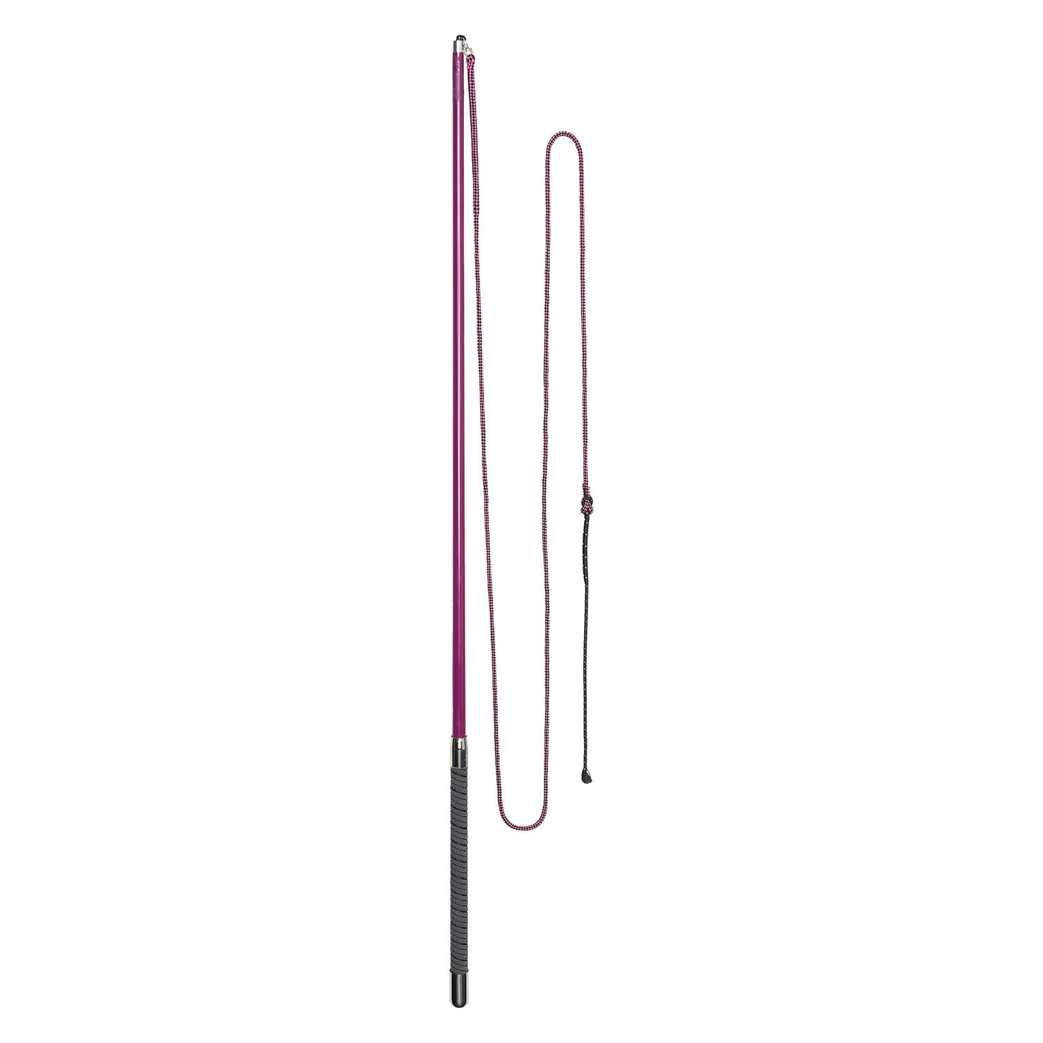 Imperial Riding Carbon Lunging Whip