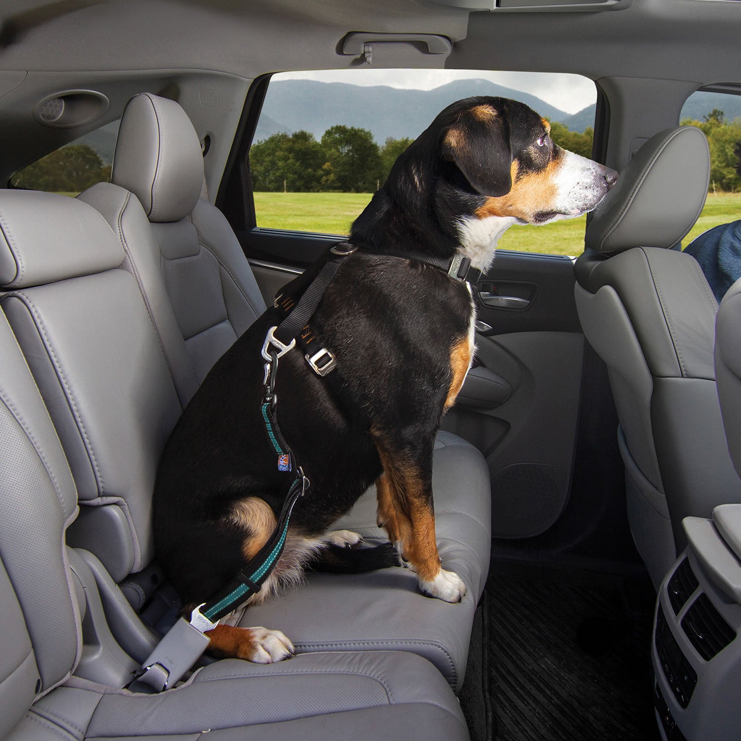 Kurgo Diect To Seatbelt Swivel Tether