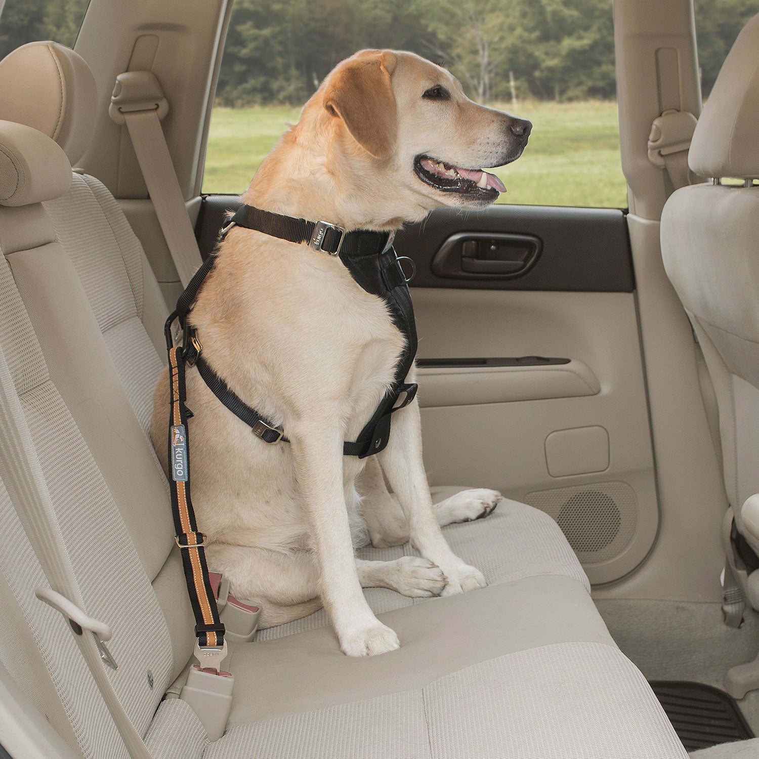 Kurgo Diect To Seatbelt Tether