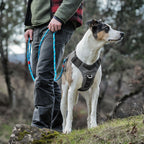 kurgo-journey-air-harness