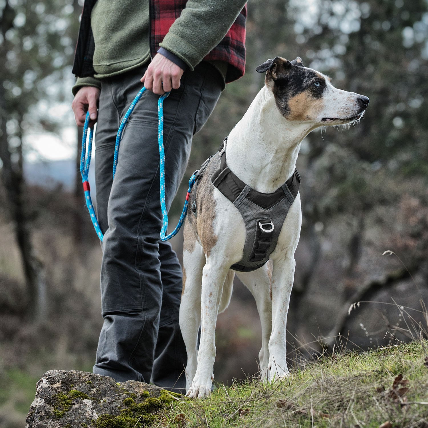 kurgo-journey-air-harness