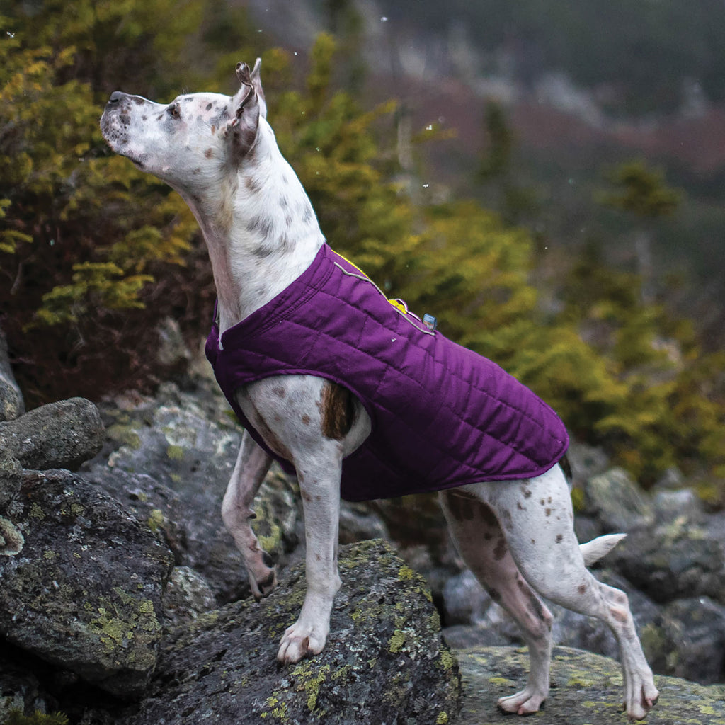 kurgo-loft-jacket