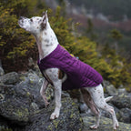 kurgo-loft-jacket