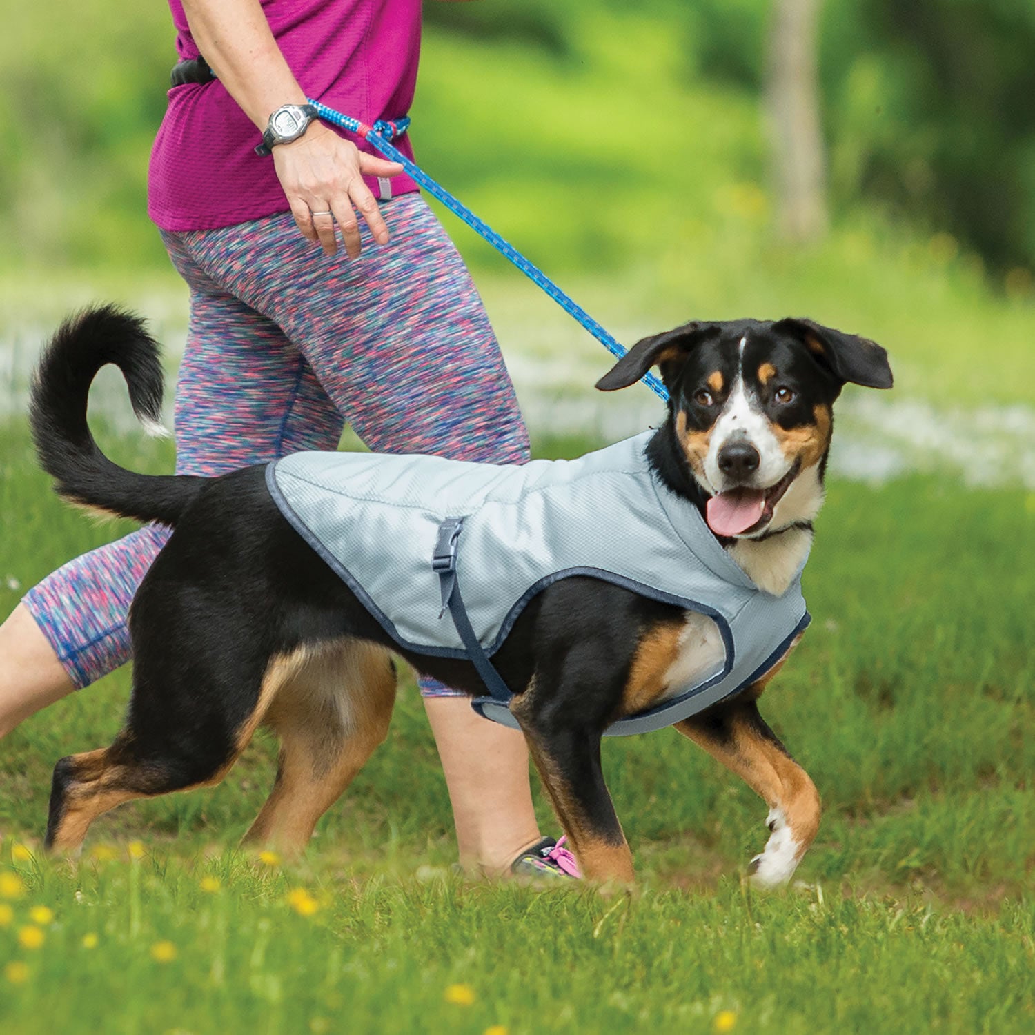 kurgo-core-cooling-vest-icy
