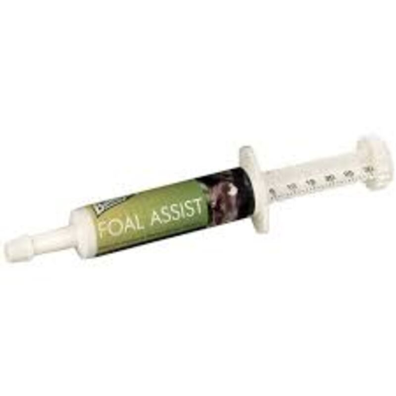 Baileys Foal Assist Plus Syringe 30 ml