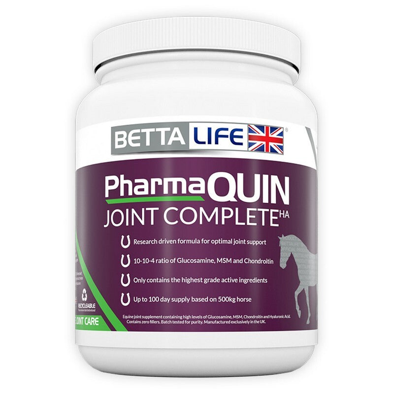 BETTAlife PharmaQuin Joint CompHA H 400g