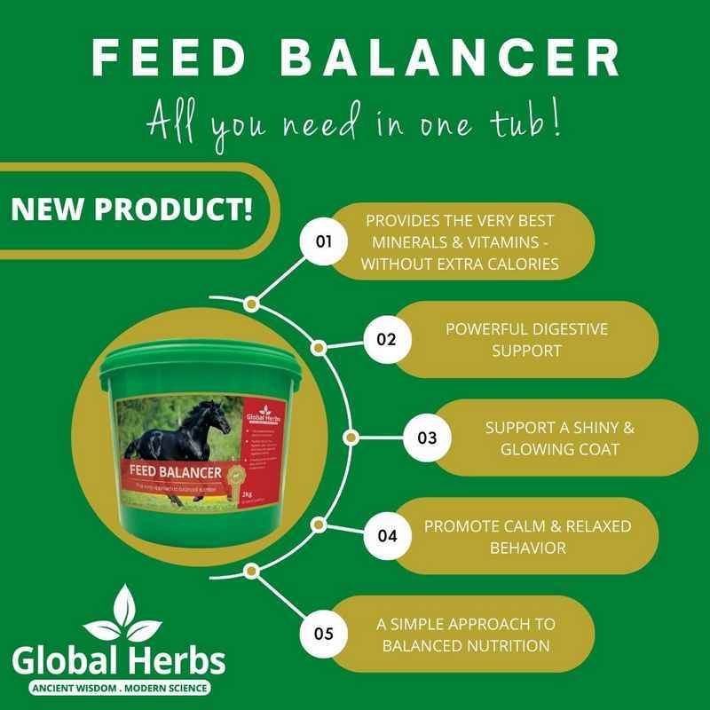 Global H Feed Balancer 2 kg