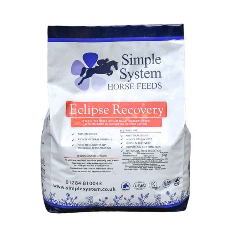 Simple System Eclipse Recovery