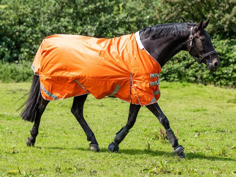 Swish 50G Detachable Neck Turnout Rug - Orange