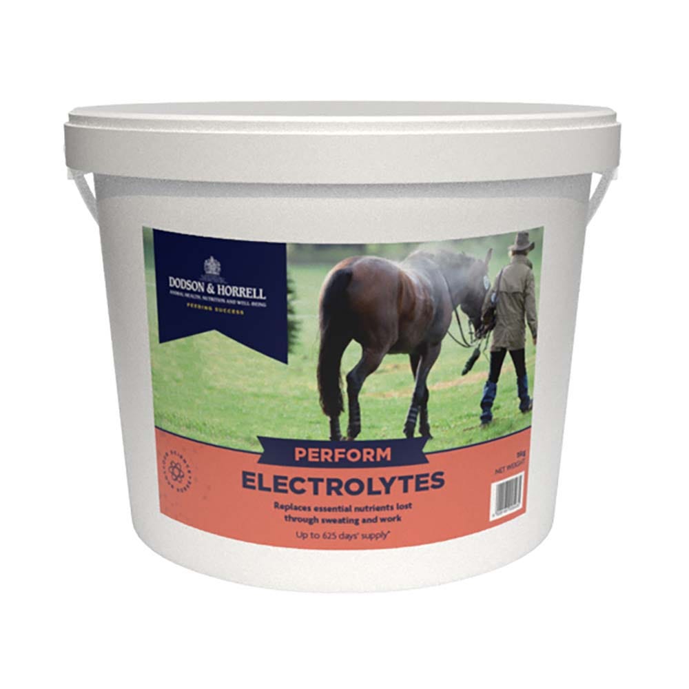 D&H Electrolytes - 15kg