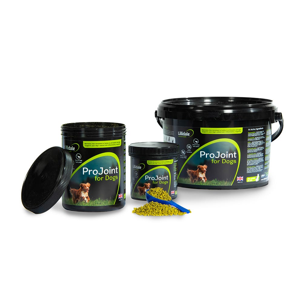 Lillidale ProJoint 4 Dogs - 2kg