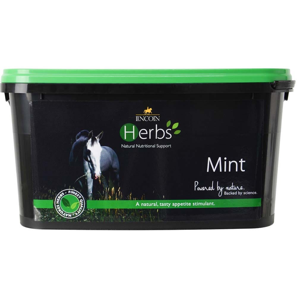 lincoln herbs mint