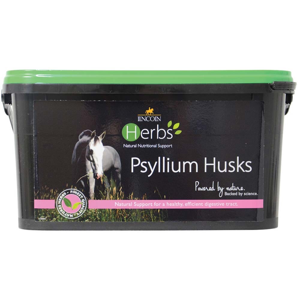 lincoln herbs psyllium husks